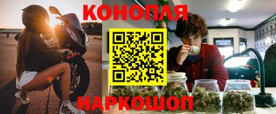 сатива Лесосибирск