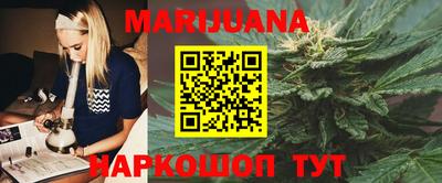 сатива Лесосибирск